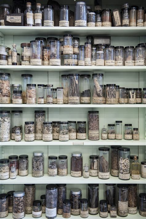 Pharmazie Historisches Museum Alison Pouliot Photography