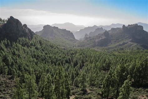 Ruta En Coche Por Gran Canaria Viajablog