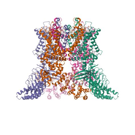 Rcsb Pdb 8v6o Inactivated State Cryo Em Structure Of Human Trpv3 In