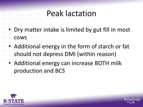 PPT Regulation Of Feed Intake In Transition Cows PowerPoint