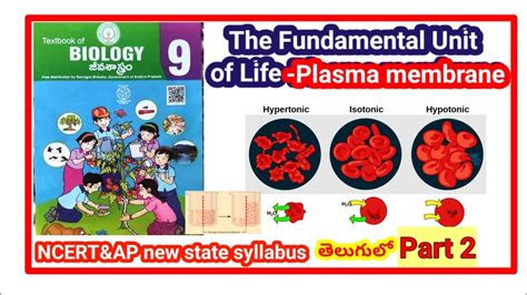 The Fundamental Unit Of Life Plasma Membrane 9thbiologyhypotonic Isotonic Hypertonic Part2 Ncert