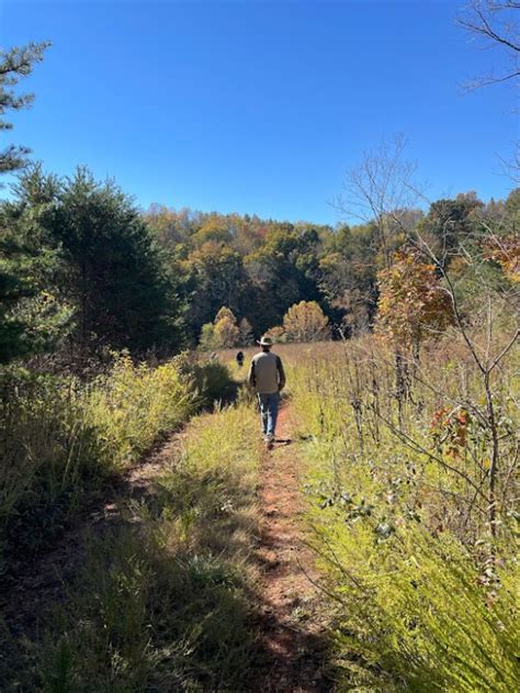 New Trail System At Mayo River State Park In Henry County