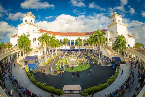 Pegasus World Cup Alive Coverage Sporting Event Photography Video