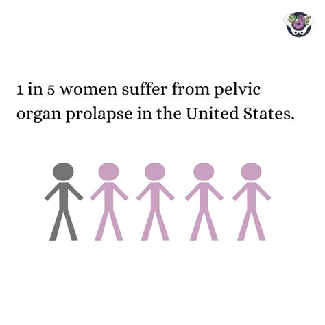 What Is Pelvic Organ Prolapse Thrive Pelvic Health And Wellness