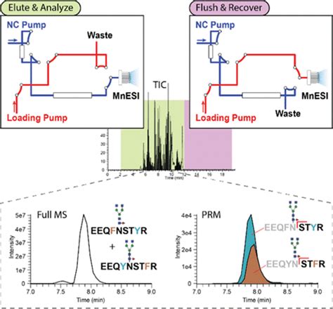 High Throughput Glycan Profiling Of Human Serum Igg Subclasses Using