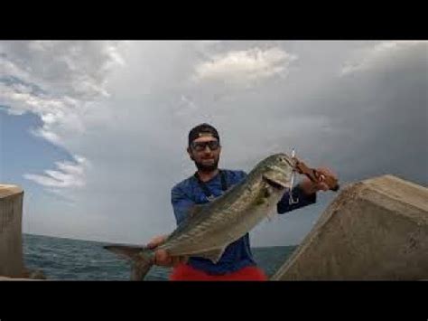 PESCA SPINNING PESCE SERRA A TOP WATER CON DUO HYDRA Vlog 4 YouTube