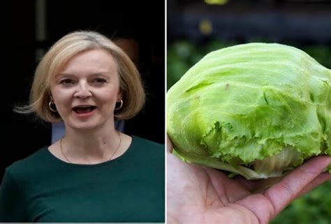 Lettuce Outlasts Liz Truss In The Salad Days Bol News