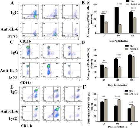 The Frequencies Of Innate Immune Cell Populations In The Cornea After Download Scientific