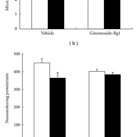 Effect Of Ginsenoside Rg1 Pretreatment On Various Antioxidant Enzyme