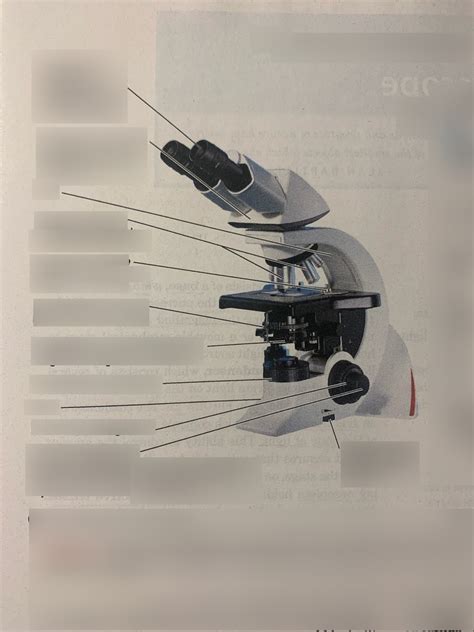 Microscope Anatomy Diagram Quizlet