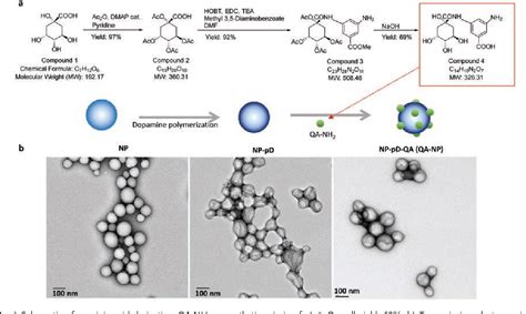 Figure 1 From Quinic Acid Conjugated Nanoparticles Enhance Drug