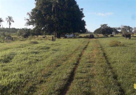 Chácaras à venda na Zona Rural em Campina Verde Chaves na Mão