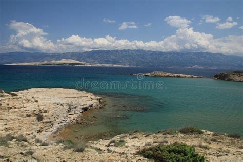 Stolac Naturiste Plage De Pierre Sur L Le De Rab En Croatie Photo