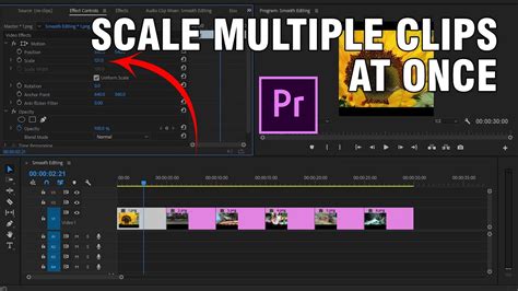 How To Scale Multiple Clips At Once Adobe Premiere Pro YouTube