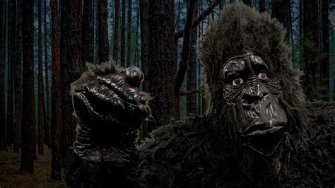 Bigfoot Behind The News