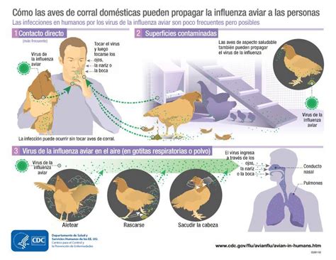 H5n1 Es La Próxima Pandemia Y La Estamos Viviendo Radio Duna