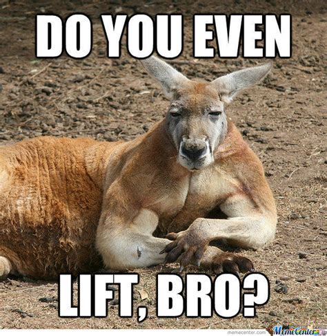 Image 562776 Do You Even Lift Know Your Meme