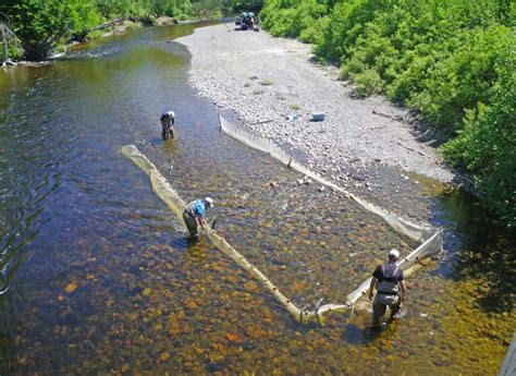 Aquatic Ecosystem Classification for Rivers and Streams – River and ...