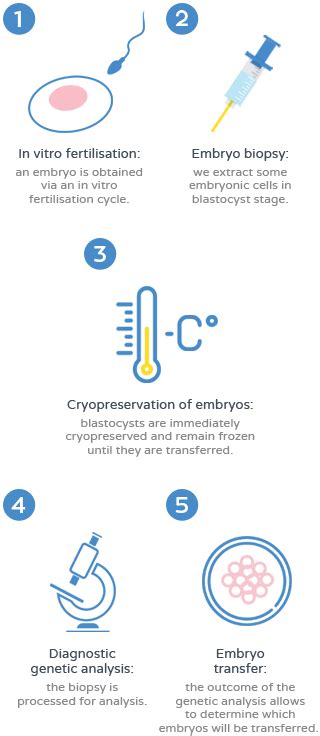 Preimplantation Genetic Diagnosis Pgd Dexeus Mujer