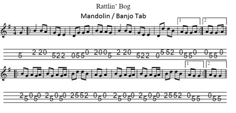 The Rattlin Bog tin whistle notes - Irish folk songs