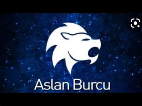 Aslan Burcu Ocak K Nc Haftas Kad N Erkek Tarot Yorumu Youtube