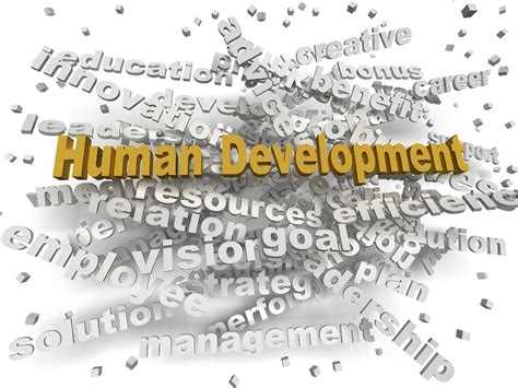 human resources outsourcing fresh eyes  guidance  expertise