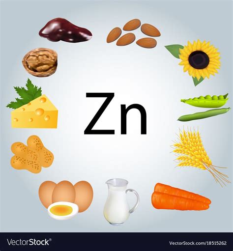 easy zinc rich foods  jack waller blog