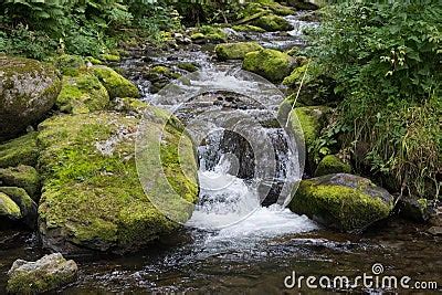 Cascading Down A Small Mountain Stream The Water Runs Over Basalt