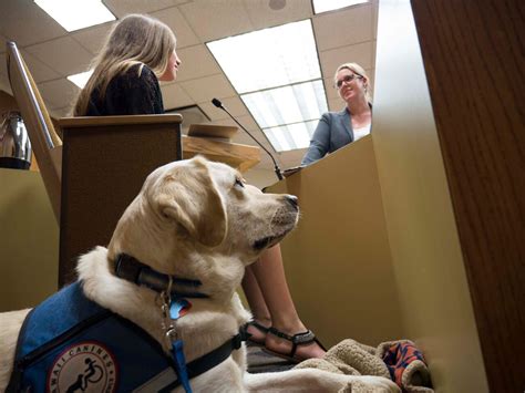 Dogs In The Criminal Justice System Consideration Of Facility And