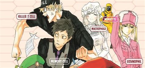 Cells at Work! Vol. 1 Review | AIPT