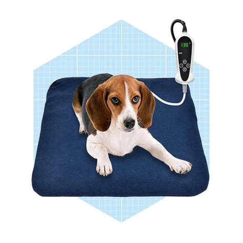 The 6 Best Heated Dog Beds to Keep Your Pup Warm in the Winter