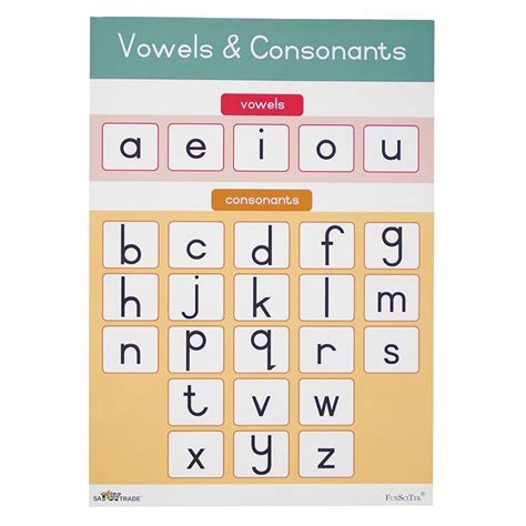 Poster Vowels Consonants