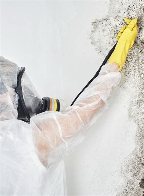 Crawl Space Mold Removal In Northern Virginia