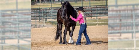 Seven Weeks of Horsemanship | Downunder