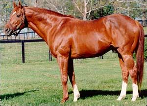 Secretariat The Greatest Thoroughbred in History as compared to Man-o-War