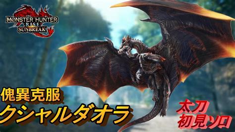 Monster Hunter Rise Sunbreak Youtube