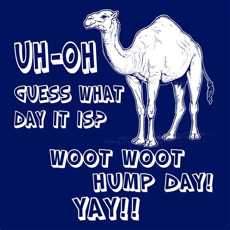 Camel Hump Day Quotes. QuotesGram