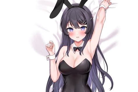 Girl Sexy Rabbit Anime Pretty Babe Usagi Bunny Suit