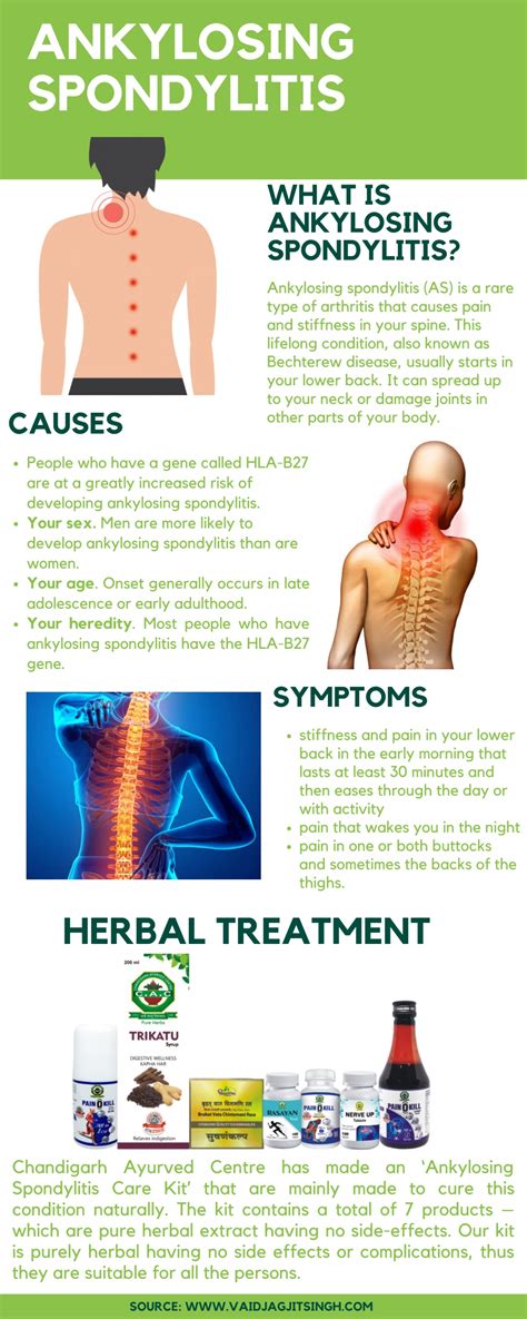 Ppt Ankylosing Spondylitis Causes Symptoms And Herbal Treatment