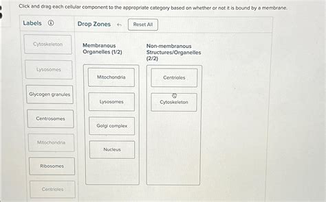 Solved Click And Drag Each Cellular Component To The Chegg