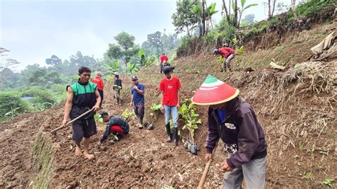 Atasi Lahan Kritis Yayasan Odesa Indonesia Gerakkan Petani Binaan