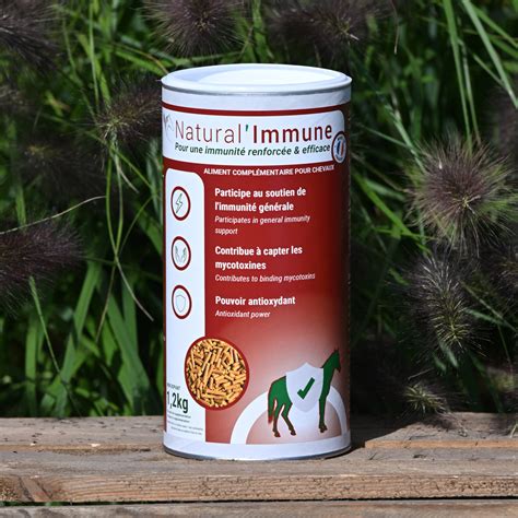 Compl Ment Alimentaire Immunit Et Anti Oxydan Natural Innov Natural