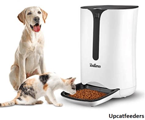 Top 5 Best Large Automatic Dog Feeder For Large Dogs Reviews - UpCatFeeders