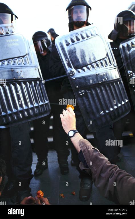 Protester Hands Riot Police A Flower At The Anti Globalisation Riots