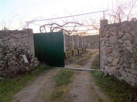 Quinta Venda Em Castelo Branco Castelo Branco Idealista