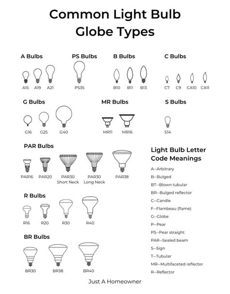 Most Common Light Bulb Base Types, Globe Types, and Uses