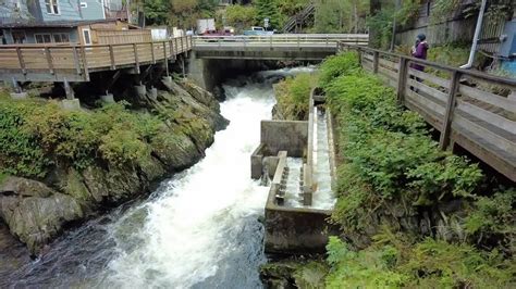 Ketchikan Alaska Salmon Ladder And Waterfall 2021 Youtube