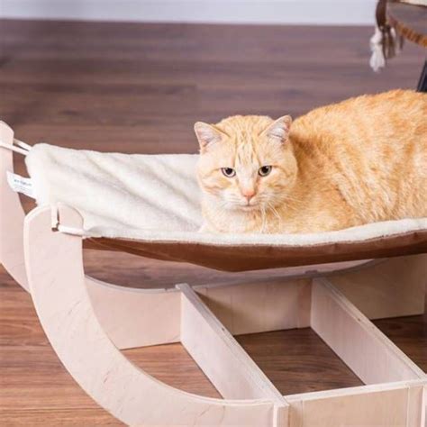 Hamacas Para Gatos Un Rinc N De Relax Junto A La Ventana