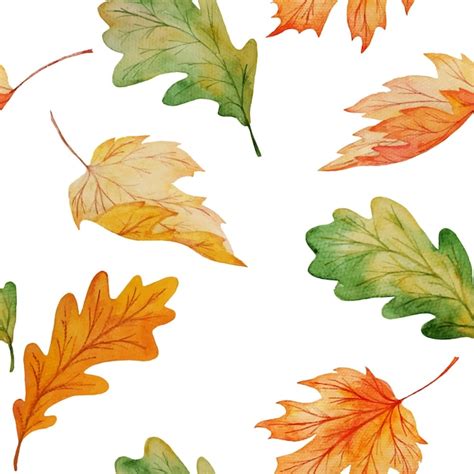 Modèle Sans Couture Aquarelle De Feuilles D érable Et De Chêne Isolé