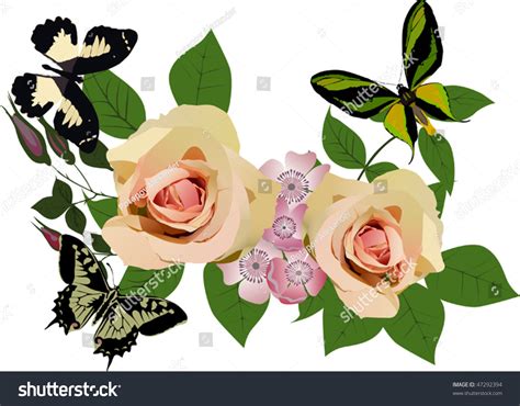 Illustration Butterflies Rose Flowers Decoration Stock Vector Royalty